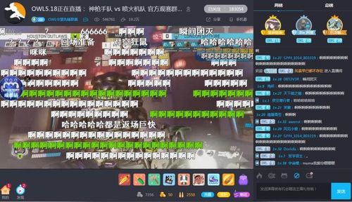 战旗OWL第四阶段第二周：布丽吉塔打破放狗体系